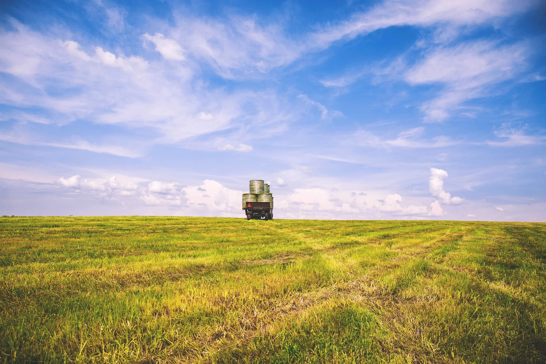 Open farmland